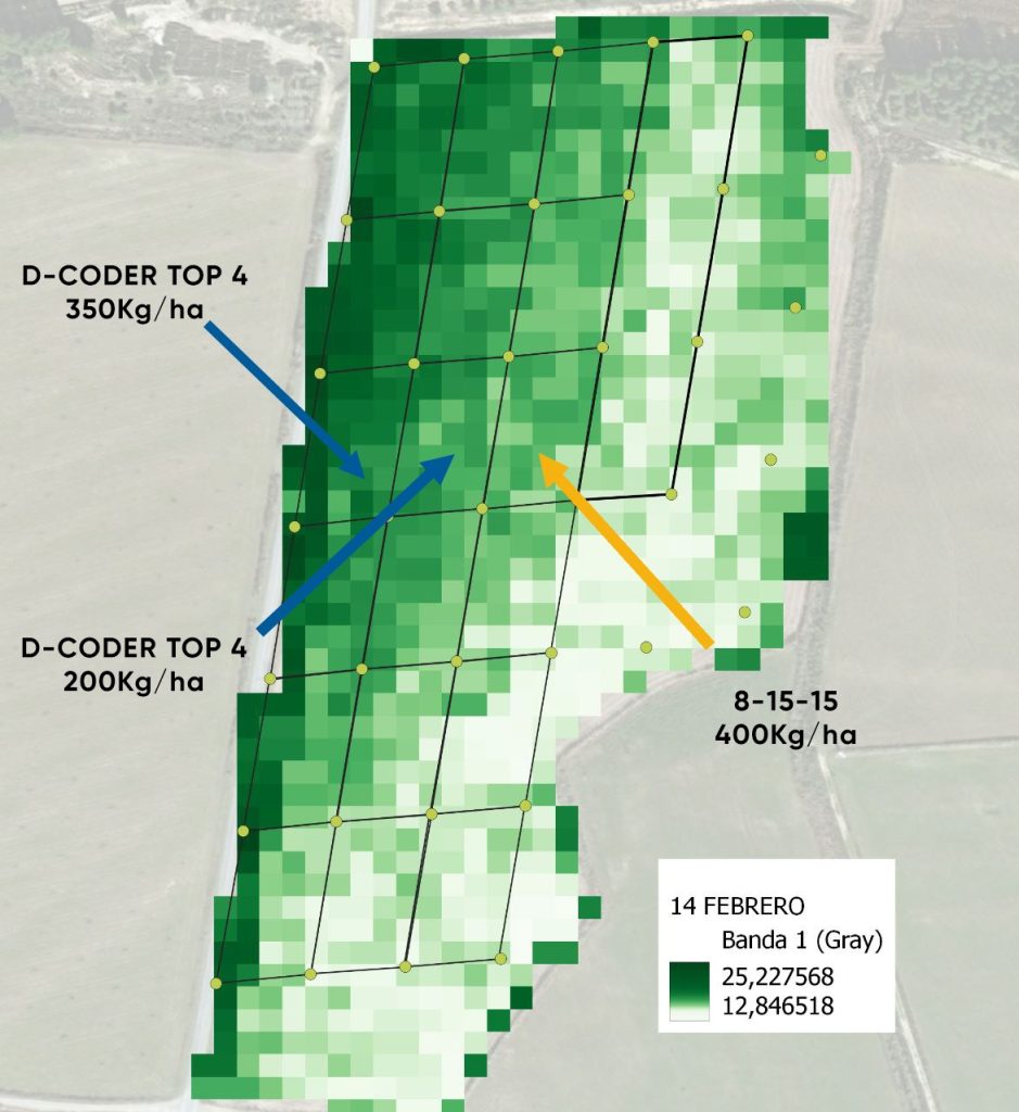 Sostenibilidad ambiental y económica con Timac Agro_Imagen NDVI contratada del 14 de febrero 2023_JornadaCultiva2024